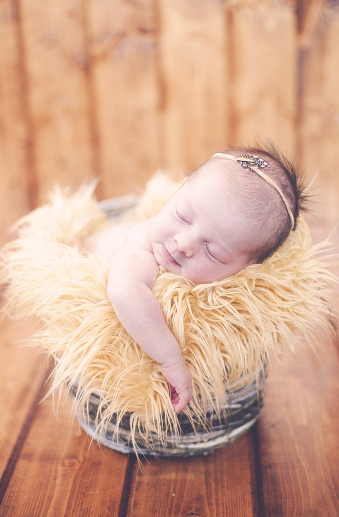 newborn photography natural nwi