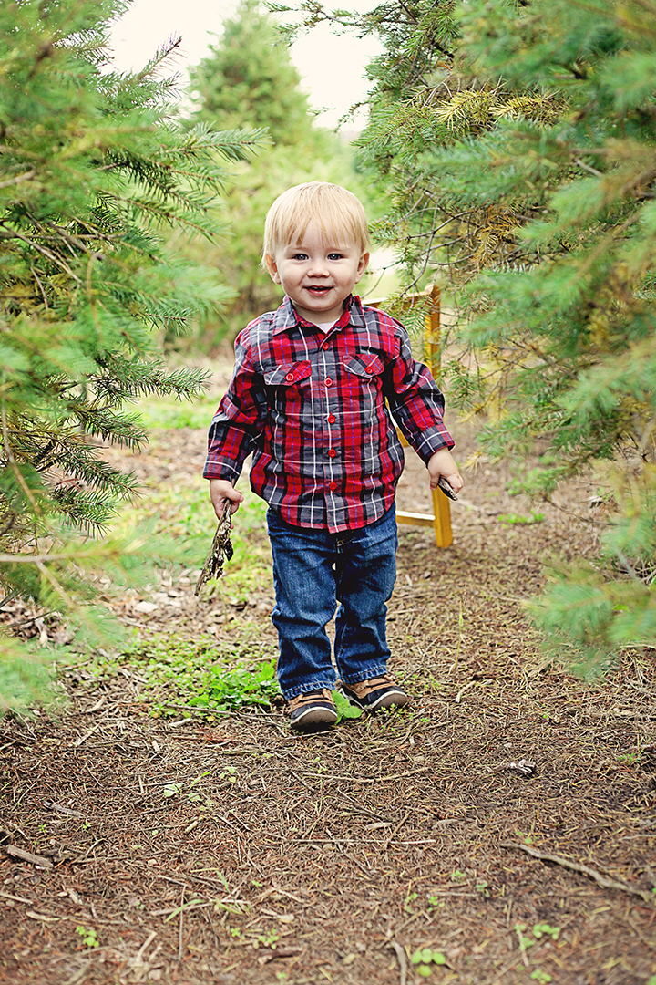 Crown Point Childrens Photographer Christmas tree walking