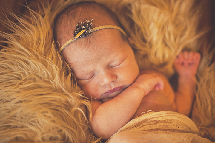 newborn photographer chicagoland