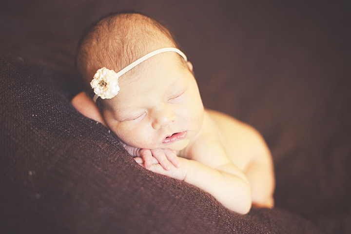 newborn photography crown point indiana