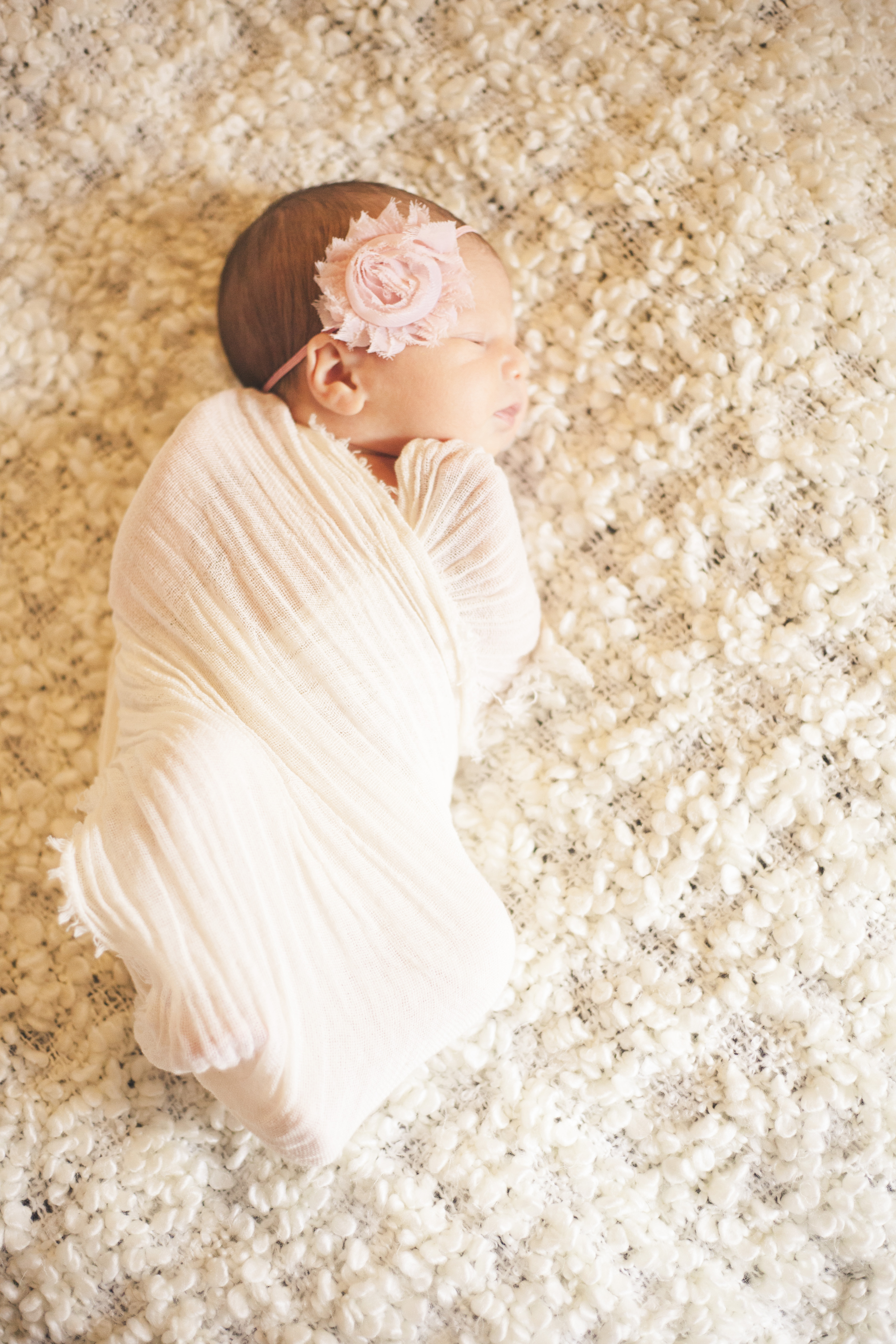 Northwest Indiana Newborn Photographer