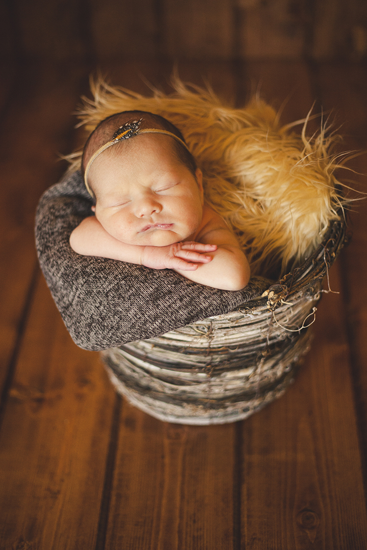 newborn Photograph munster indiana