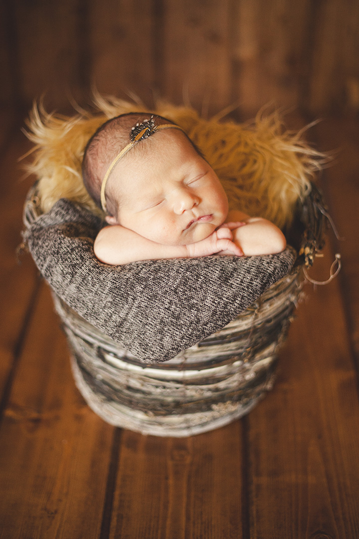 newborn portraits chicagoland