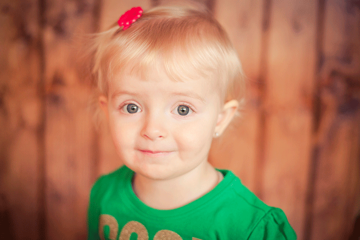 Christmas photo session northwest Indiana