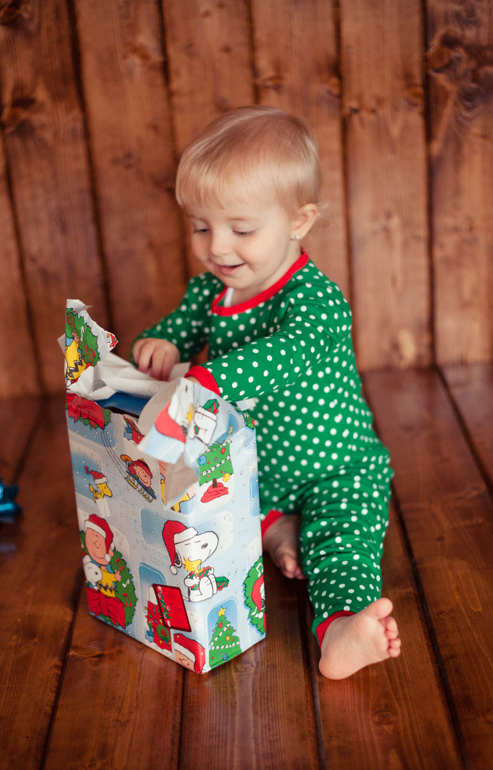 Christmas photography northwest indiana