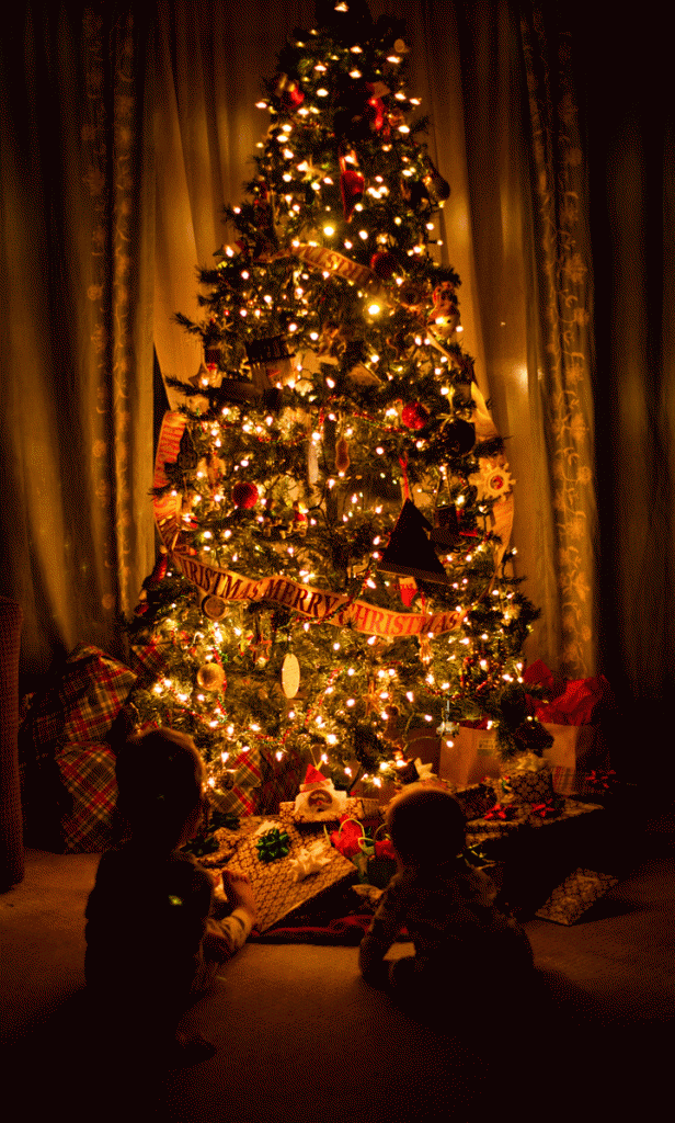 Christmas tree photos