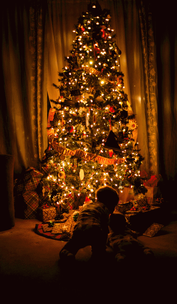 Christmas tree photos nwi