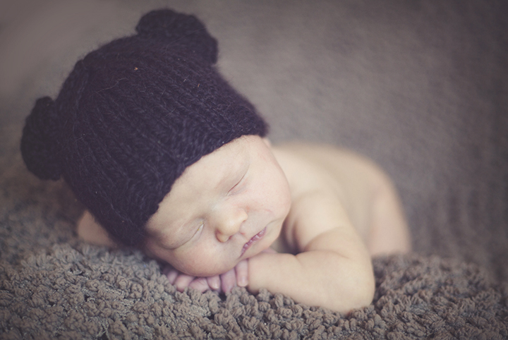 newborn bear photographs